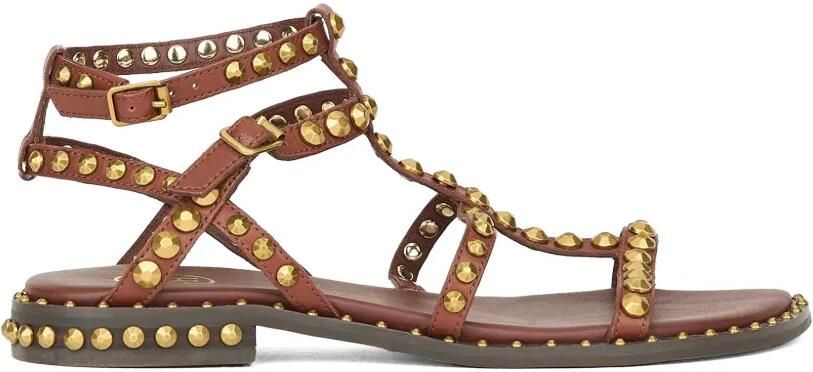 Ash Sandalen verfraaid met studs Bruin