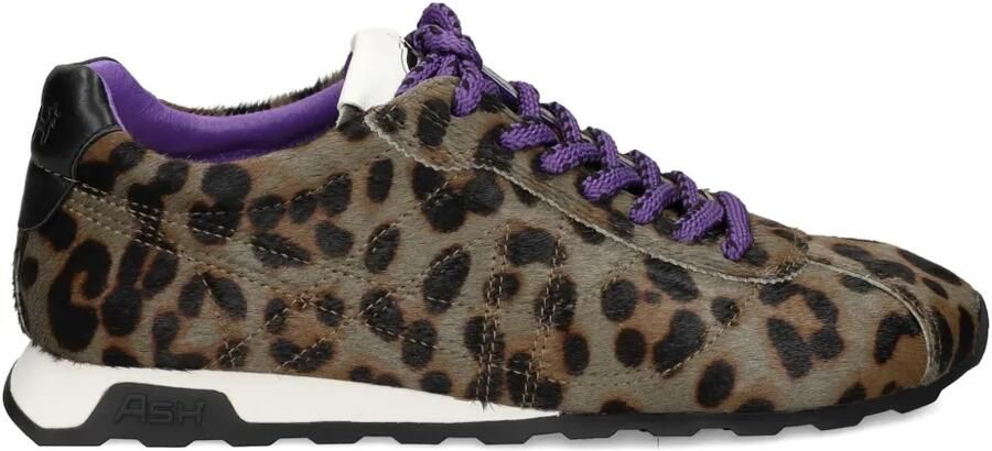 Ash Sneakers met luipaardprint Bruin