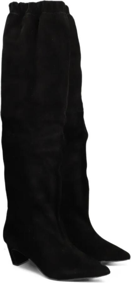 Ash Victoria02 pointed-toe boots Zwart - Foto 3