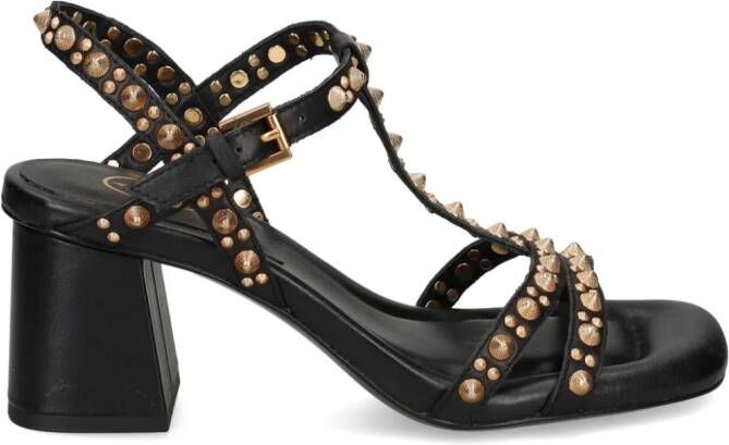 Ash Janice sandalen met studs 65 mm Zwart