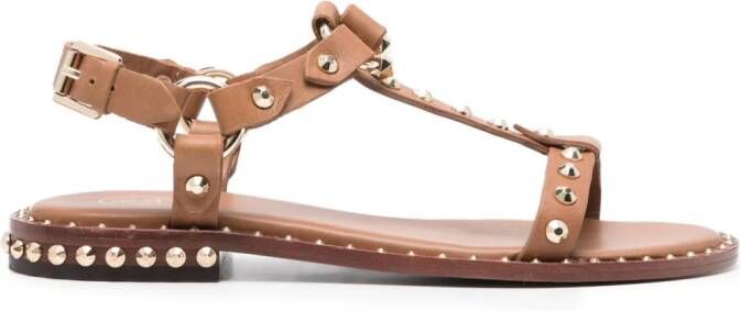 Ash Patsy leather sandals Bruin