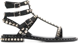 Ash Play sandalen verfraaid met studs Zwart