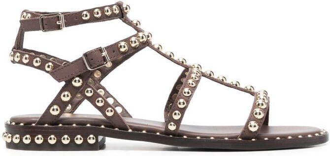 Ash Precious sandalen met studs Bruin