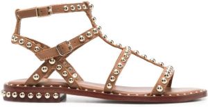 Ash Precious sandalen met studs Bruin