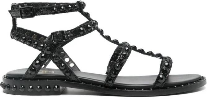 Ash Precious Bis sandalen Zwart