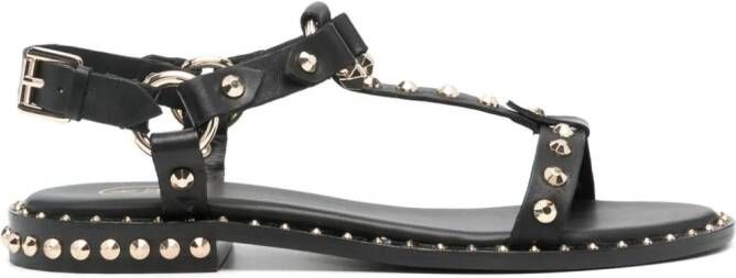 Ash Sandalen verfraaid met studs Zwart