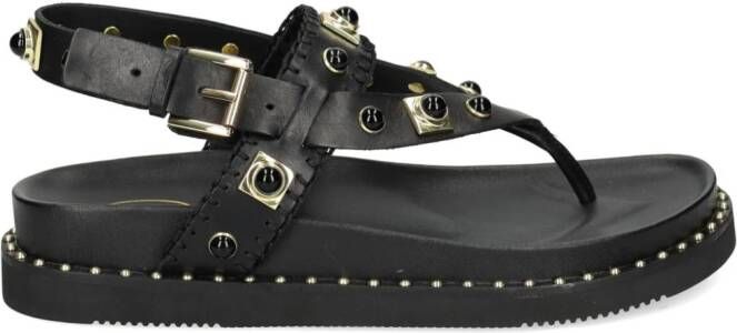 Ash Uteca sandalen verfraaid met studs Zwart