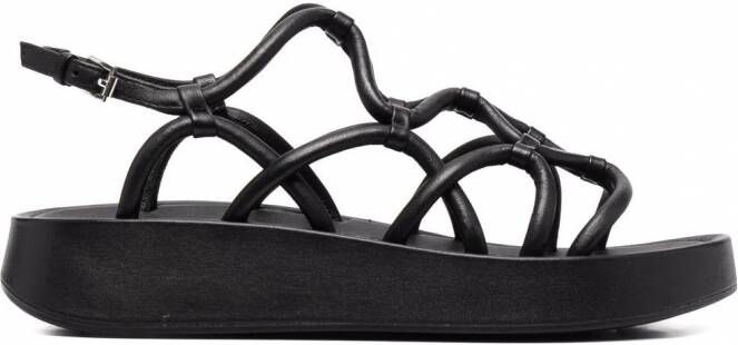 Ash Venus sandalen met plateauzool Zwart
