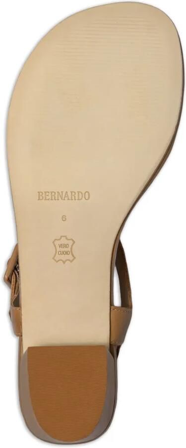 Bernardo Goyara sandalen met T-bandje en gesp Beige - Foto 5