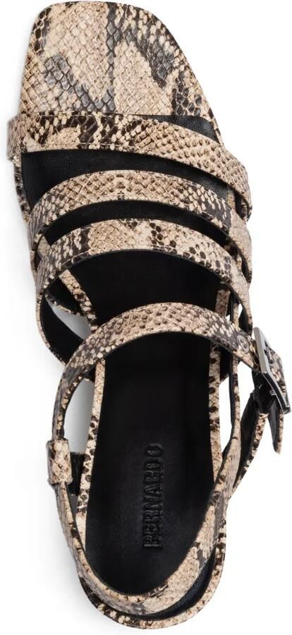 Bernardo Novi sandalen met bandjes en gesp Beige - Foto 4