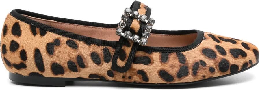Bibi Lou Essen ballerina's Bruin
