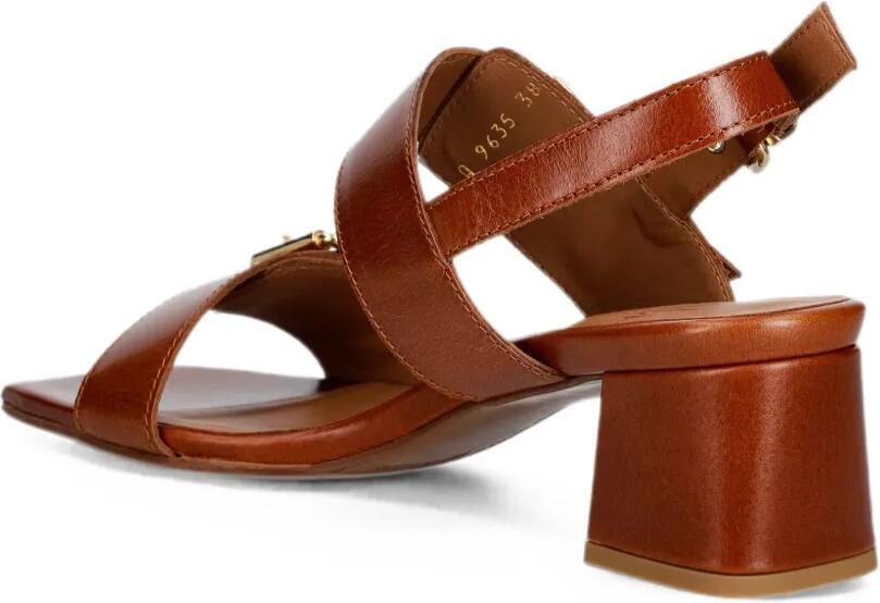 BILLI BI Sandalen met gesp Bruin - Foto 3