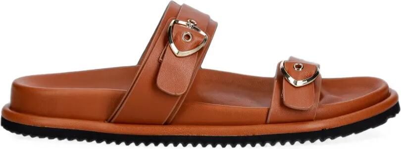 Blauer Bloom03 sandalen met gespsluiting Bruin