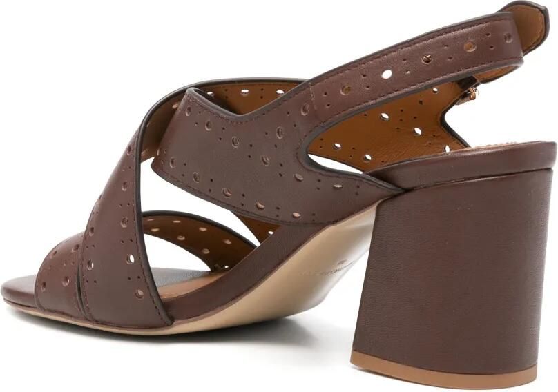 Bruno Premi Geperforeerde sandalen met gekruist detail Bruin - Foto 3
