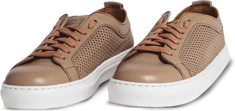 CALCE Geperforeerde leren sneakers Beige