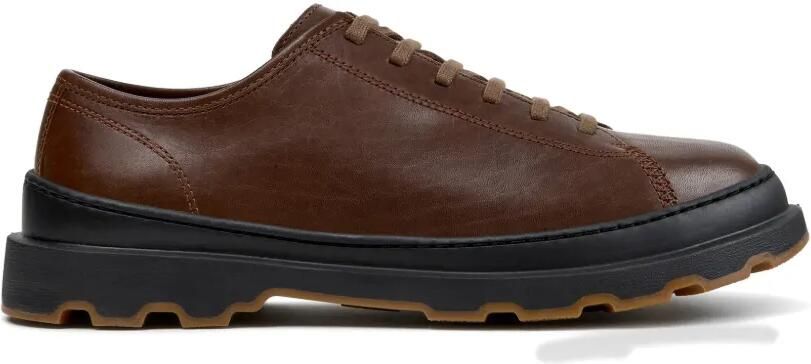 Camper Brutus+ derby veterschoenen Bruin