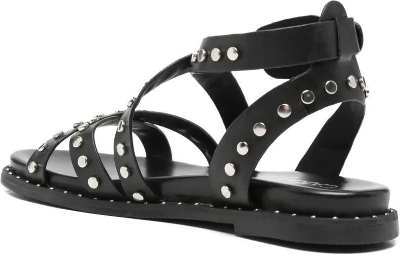 Carmela Sandalen verfraaid met studs Zwart - Foto 3
