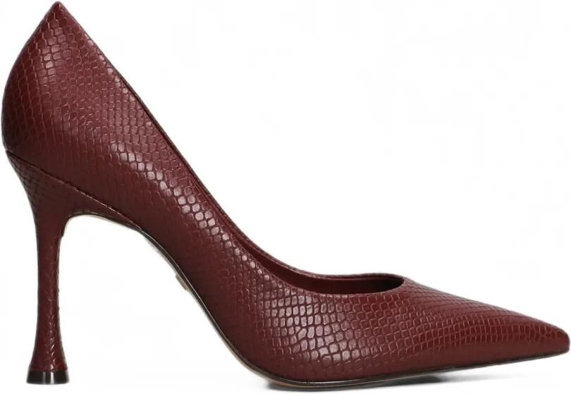 CARRANO Unique pointed-toe pumps Rood