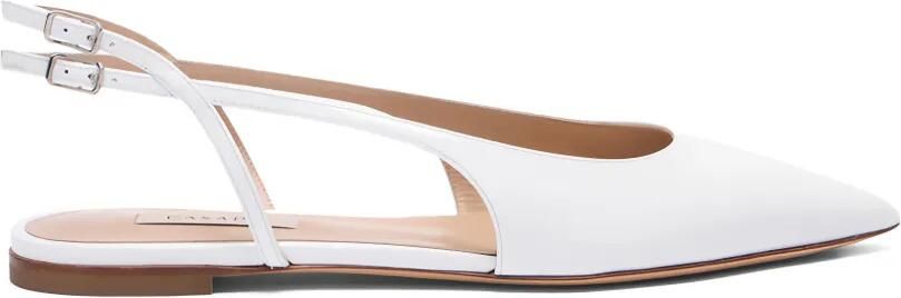 Casadei Dancer pumps met enkelbandje Wit