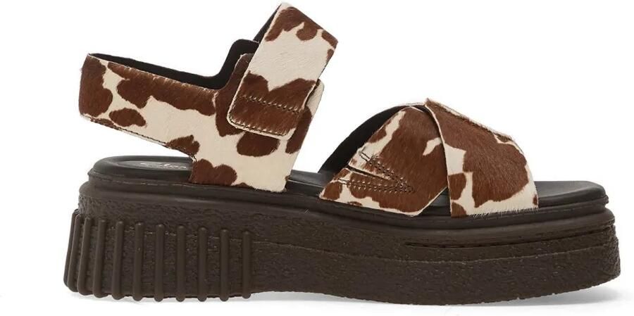 Clarks Evamar sandalen met plateauzool en print Bruin