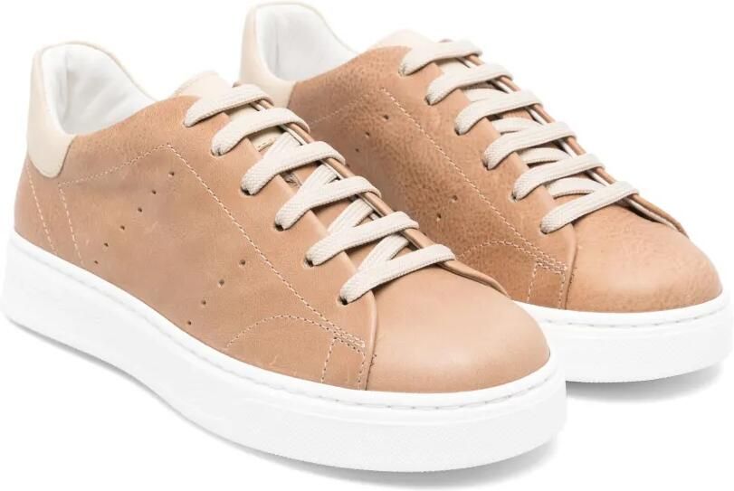 Colorichiari Leren sneakers Bruin
