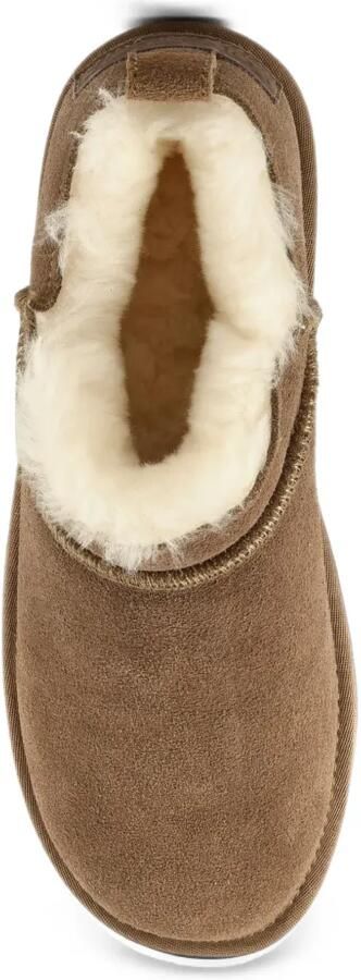 Colors Of California Miwo ankle boots Bruin - Foto 5