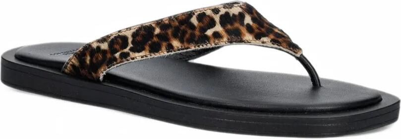 Copenhagen Slippers met bandje en print Bruin - Foto 5