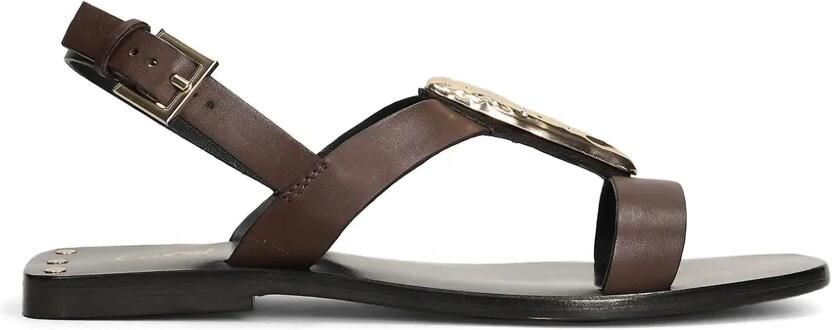 CORAL BLUE Sandalen met gesp Bruin