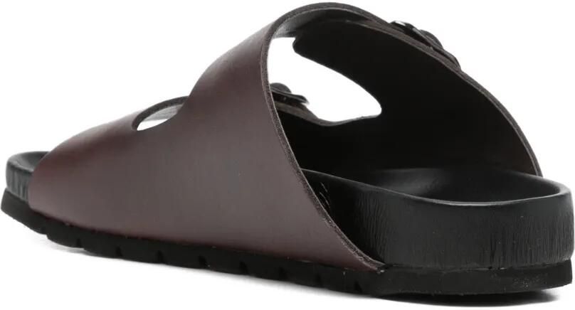 Cult Scorpion 4781 leren sandalen met gespsluiting Bruin - Foto 3