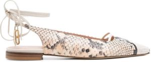 Dee Ocleppo Ballerina's met slangenhuidprint Zwart