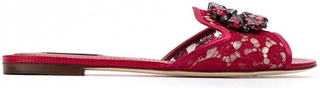 Dolce & Gabbana Bianca crystal-embellished lace sandals Rood