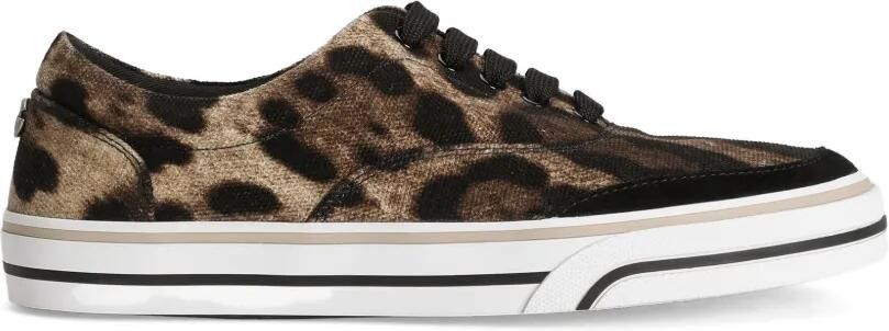 Dolce & Gabbana DG Sailing sneakers met print Bruin