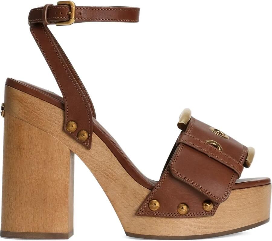 Dolce & Gabbana Leren sandalen met studs en gesp Bruin