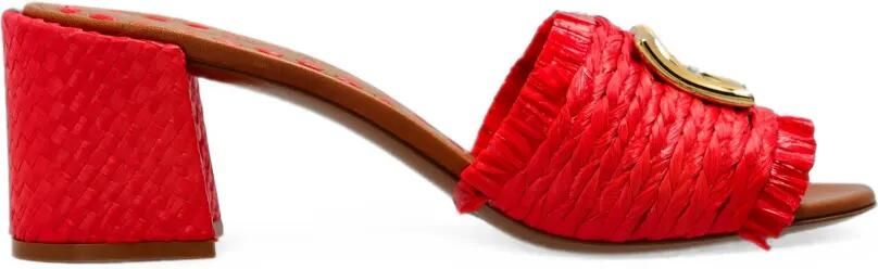 Dolce & Gabbana Raffia muiltjes Rood