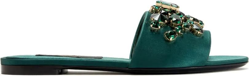 Dolce & Gabbana Sandalen verfraaid met juwelen Groen
