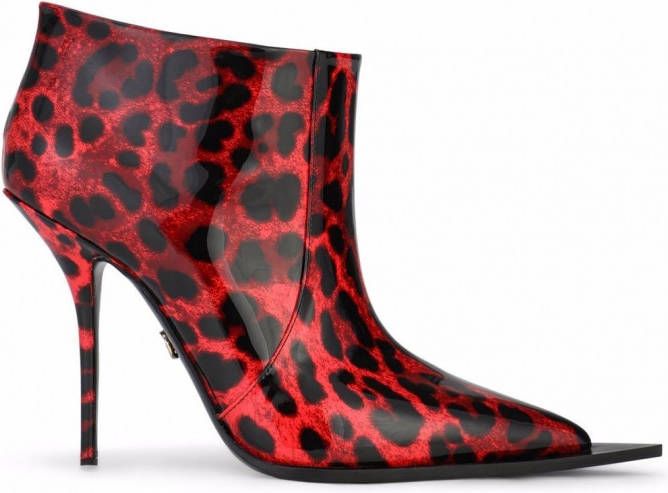 Dolce \u0026 Gabbana Laarzen met luipaardprint Rood - Schoenen.nl