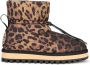 Dolce & Gabbana Laarzen met luipaardprint Bruin - Thumbnail 1
