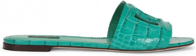 Dolce & Gabbana DG Millennials leren sandalen Groen