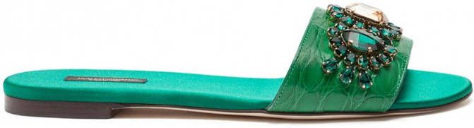 Dolce & Gabbana Sandalen verfraaid met kristal Groen