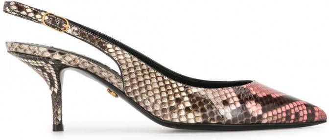 Dolce & Gabbana Slingback muiltjes met pythonleer Bruin