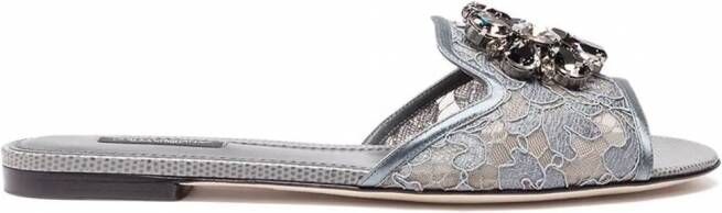 Dolce & Gabbana Slippers met kristallen Grijs