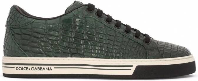 Dolce & Gabbana Sneakers met krokodillenleer-effect Groen