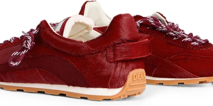 DSQUARED2 DC-642 sneakers Rood - Foto 3