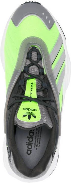 adidas Low-top sneakers Groen