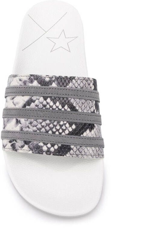 adidas Sneakers met slangenleer-effect Grijs