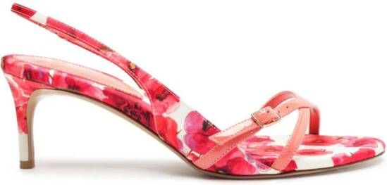 Alexandre Birman Maia 60mm sandalen met bloemenprint Roze