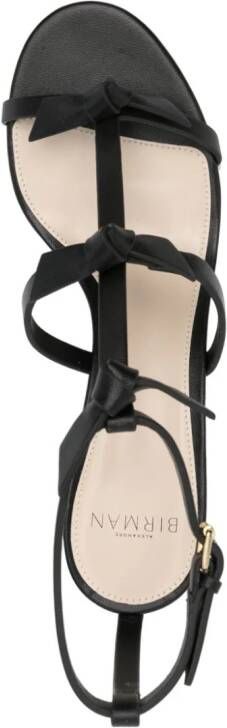 Alexandre Birman Slim Lolita leren sandalen Zwart