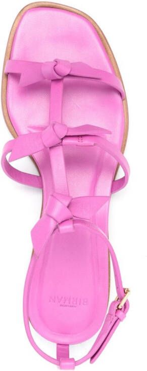 Alexandre Birman Slim Lolita leren sandalen Roze