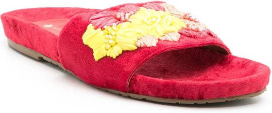 Amir Slama Fluwelen slippers Rood