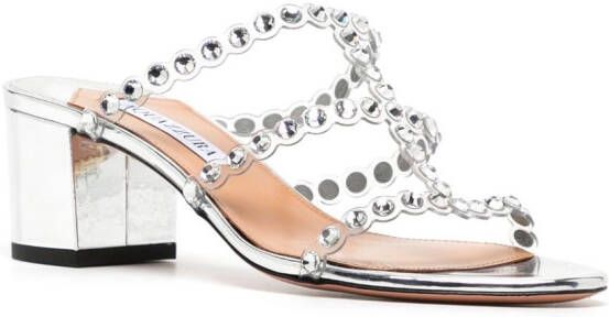 Aquazzura Tequila Plexi muiltjes Zilver